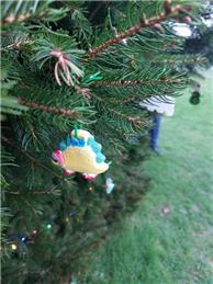Carols on the Green - another huge success