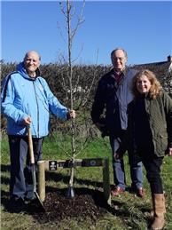 Tree Planting in Up Hatherley